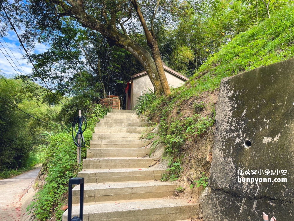 【紫鳶山城竹林海餐廳】神隱少女茶屋，漫步苗栗版小抹茶山，銅鑼秘境推薦！