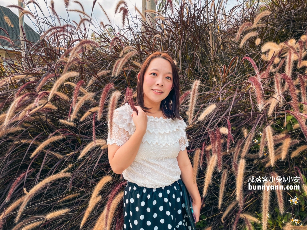 【紫鳶山城竹林海餐廳】神隱少女茶屋，漫步苗栗版小抹茶山，銅鑼秘境推薦！