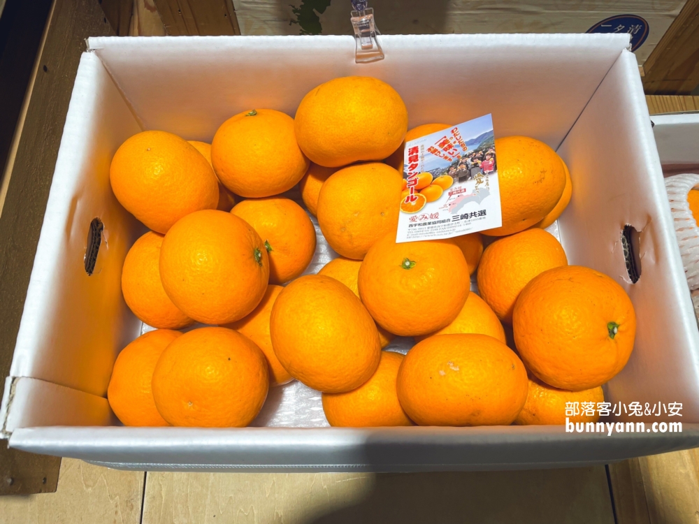 日本【道後溫泉】懶人包！道後溫泉商店街橘子果凍、汽泡飲超好喝!!