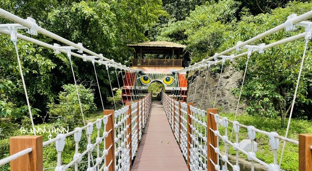 2.達娜伊谷貓頭鷹吊橋,阿里山森林吊橋景點