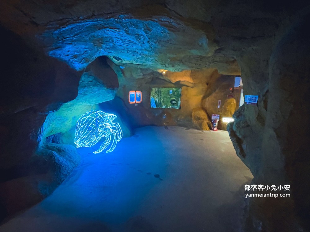 野柳海洋世界｜親子必訪新北景點！海豚互動、海洋展一次玩透透