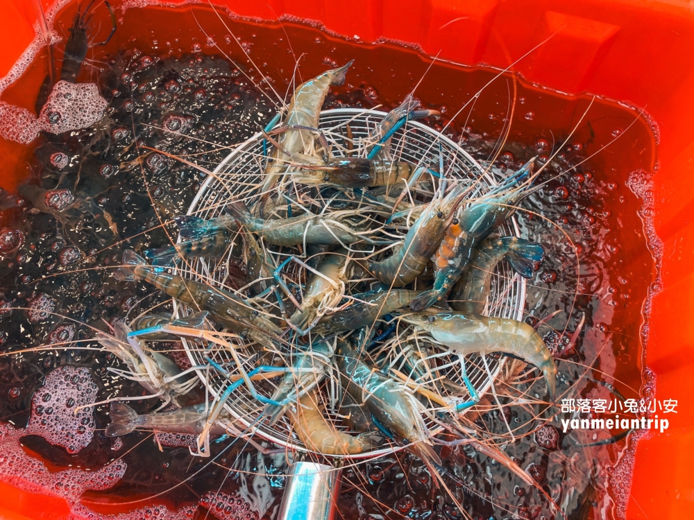 台中【阿布潘水產】台版築地市場，烤肉想買海鮮來這裡就對了！