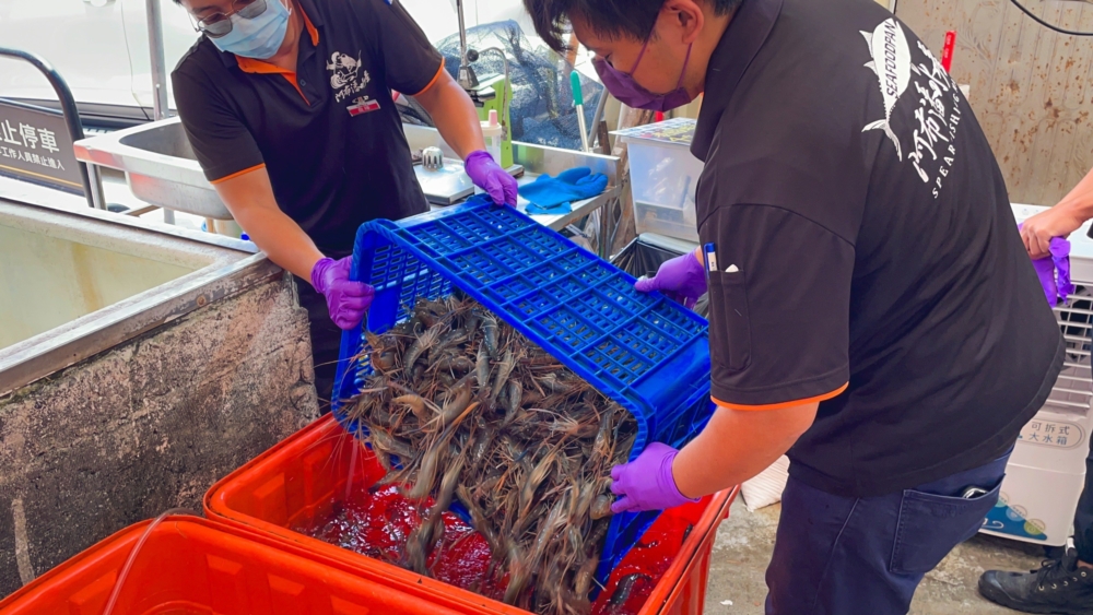 台中【阿布潘水產】台版築地市場，烤肉想買海鮮來這裡就對了！