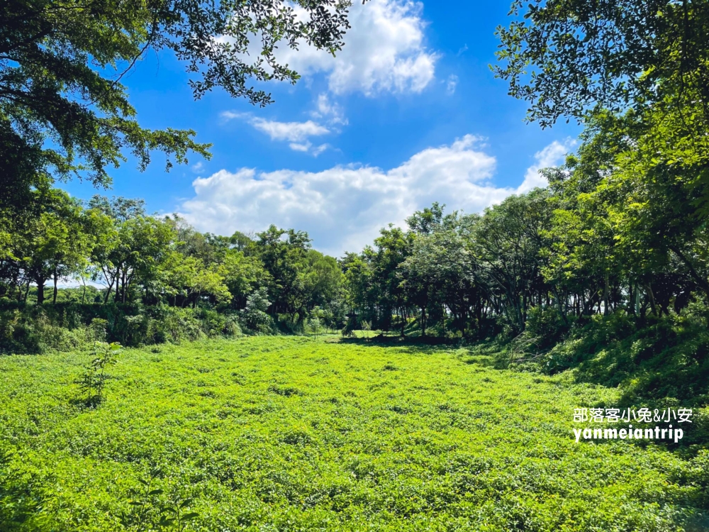台南「小南海風景區」來回不用一小時輕鬆走，入口好停車