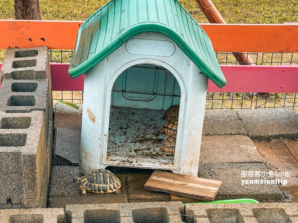 【萌寵村親子樂園】超人氣親子農場 × 無動力遊戲天堂！