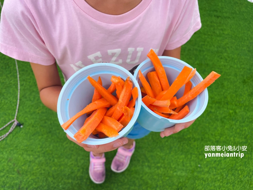 【萌寵村親子樂園】超人氣親子農場 × 無動力遊戲天堂！