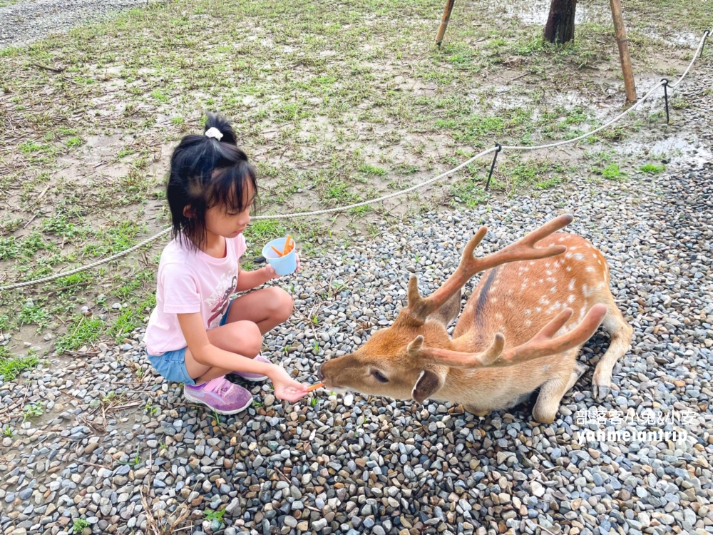 【萌寵村親子樂園】超人氣親子農場 × 無動力遊戲天堂！