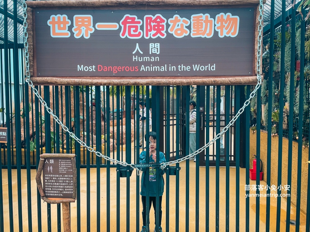 宜蘭【蘭陽動植物王國】划輪胎船好好玩，全台首個澳洲袋鼠互動在這裡