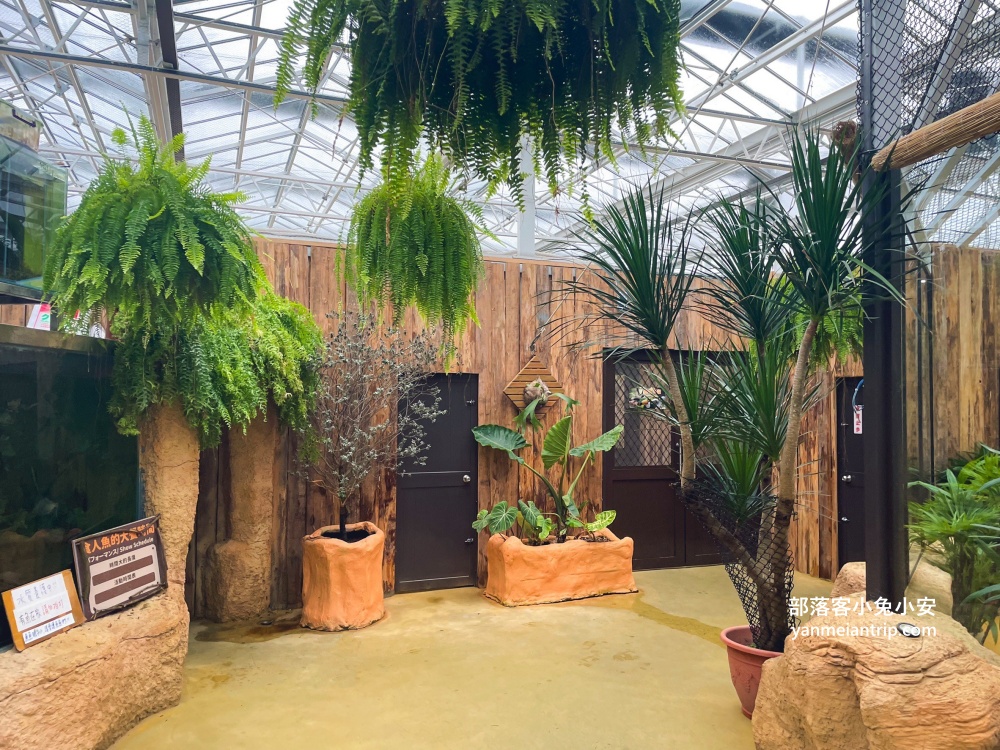 宜蘭【蘭陽動植物王國】划輪胎船好好玩，全台首個澳洲袋鼠互動在這裡