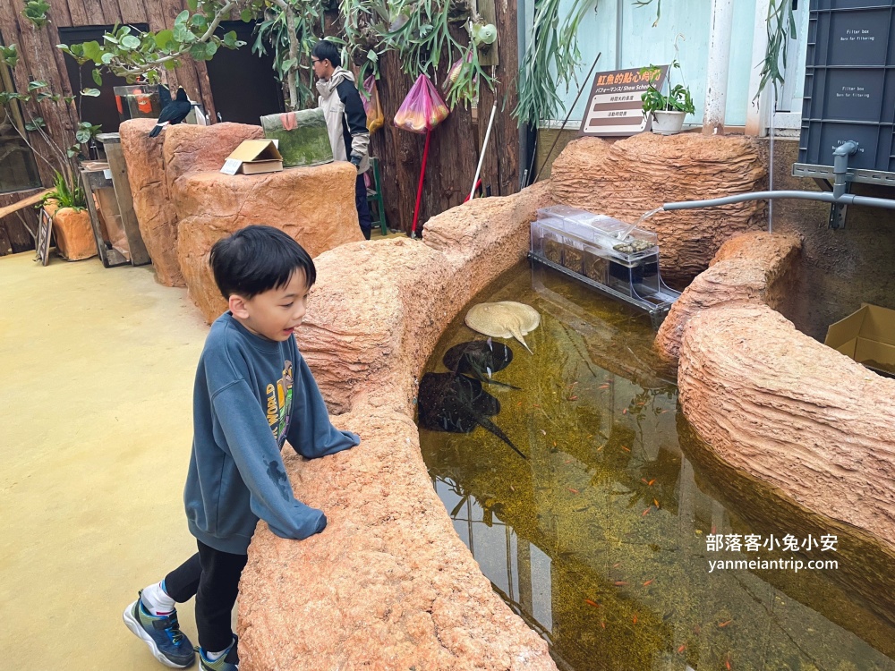 宜蘭【蘭陽動植物王國】划輪胎船好好玩，全台首個澳洲袋鼠互動在這裡