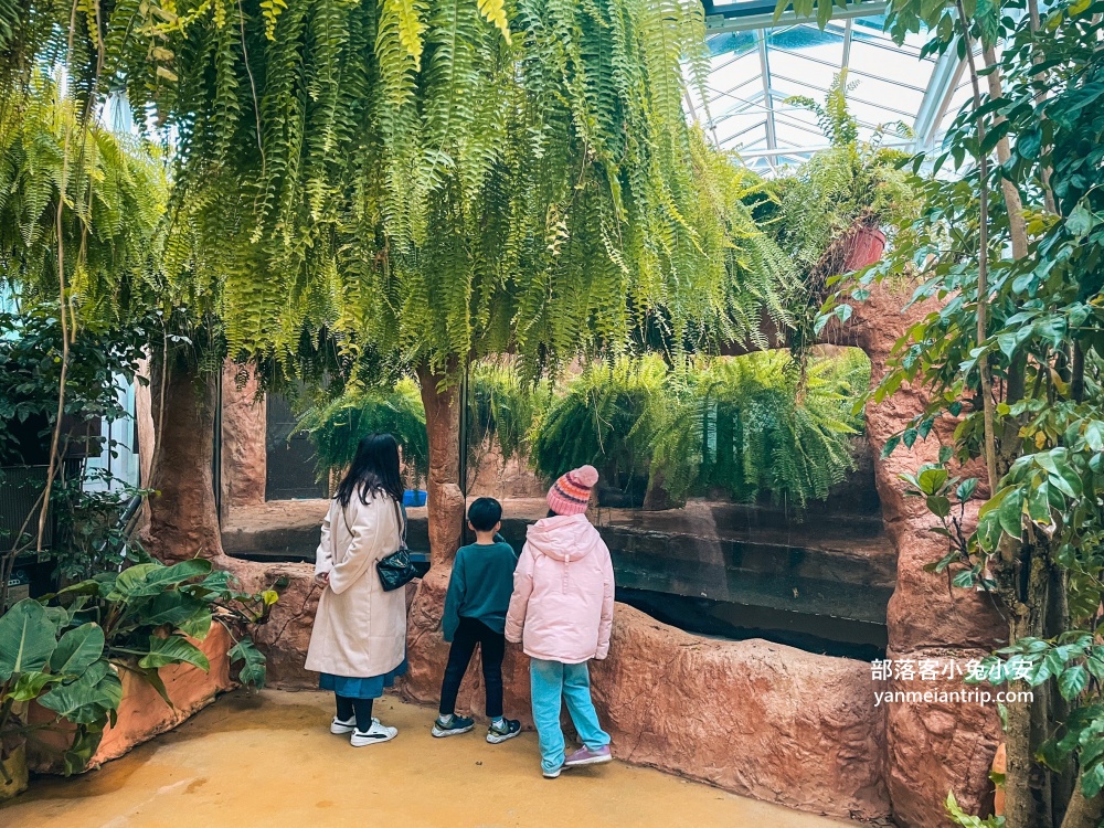 宜蘭【蘭陽動植物王國】划輪胎船好好玩，全台首個澳洲袋鼠互動在這裡