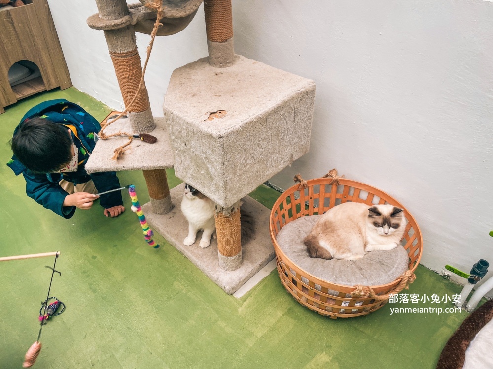 宜蘭【蘭陽動植物王國】划輪胎船好好玩，全台首個澳洲袋鼠互動在這裡