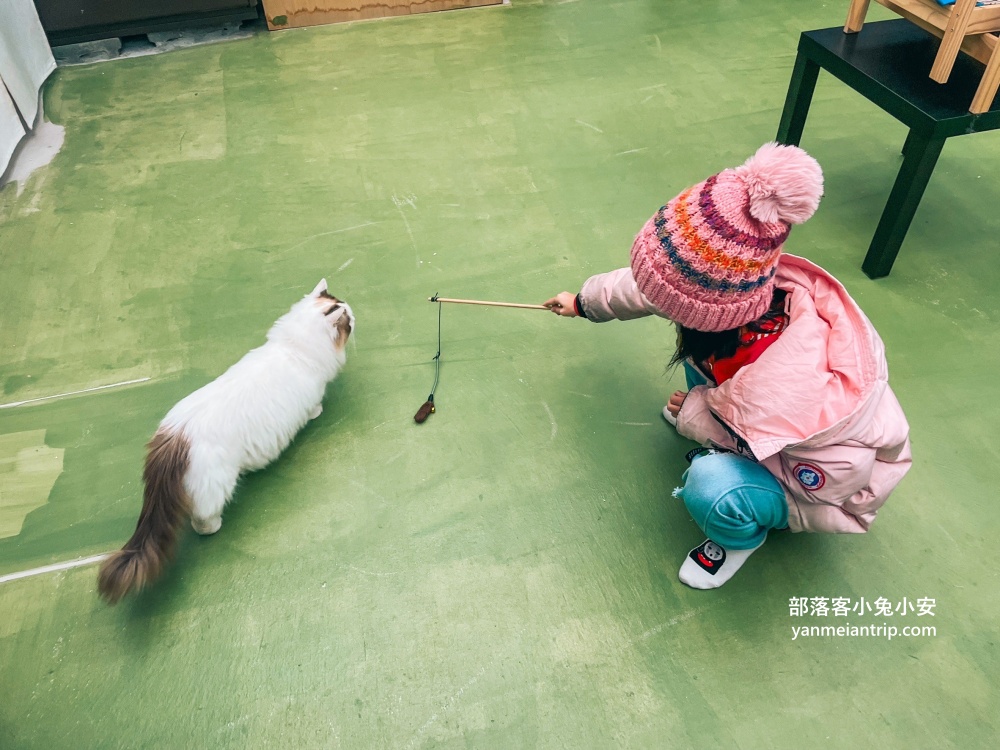 宜蘭【蘭陽動植物王國】划輪胎船好好玩，全台首個澳洲袋鼠互動在這裡