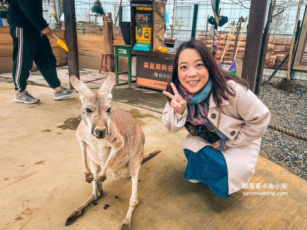 宜蘭【蘭陽動植物王國】划輪胎船好好玩，全台首個澳洲袋鼠互動在這裡
