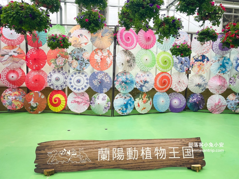 宜蘭【蘭陽動植物王國】划輪胎船好好玩，全台首個澳洲袋鼠互動在這裡