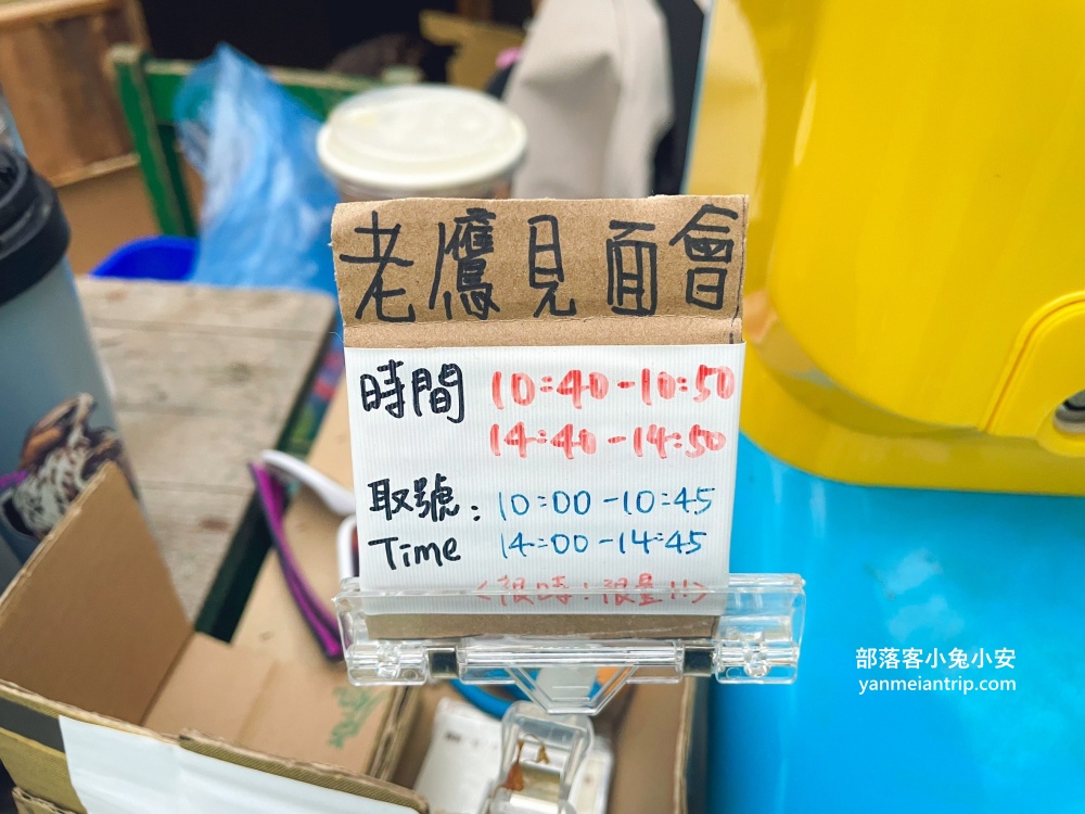 宜蘭【蘭陽動植物王國】划輪胎船好好玩，全台首個澳洲袋鼠互動在這裡