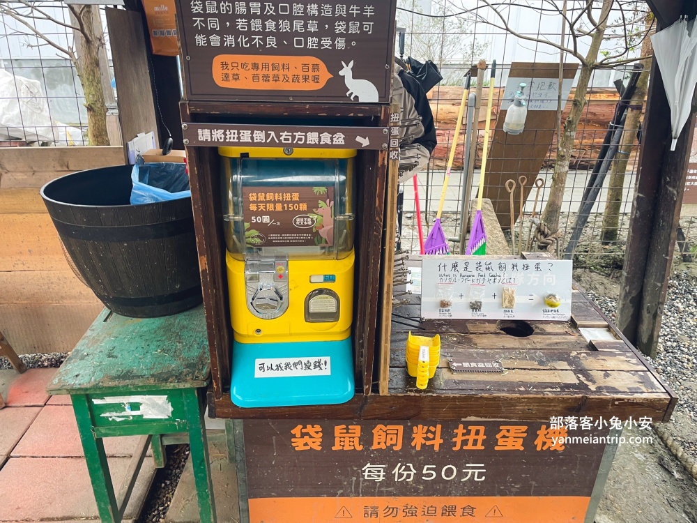 宜蘭【蘭陽動植物王國】划輪胎船好好玩，全台首個澳洲袋鼠互動在這裡