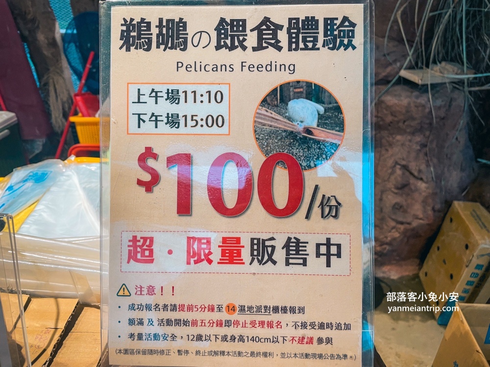 宜蘭【蘭陽動植物王國】划輪胎船好好玩，全台首個澳洲袋鼠互動在這裡