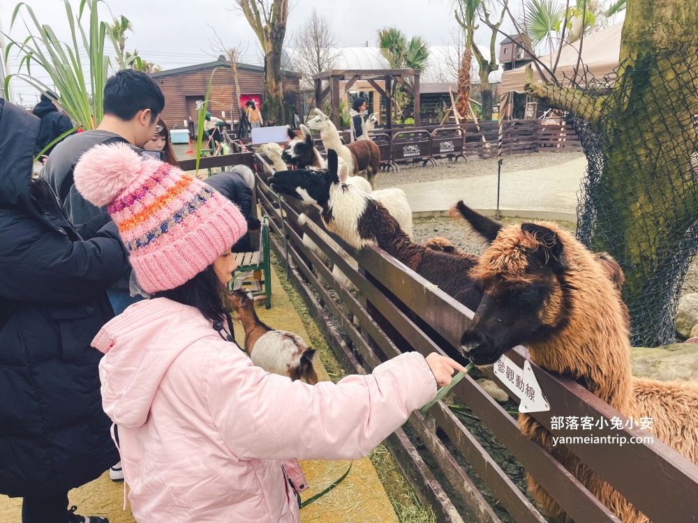 宜蘭【蘭陽動植物王國】划輪胎船好好玩，全台首個澳洲袋鼠互動在這裡