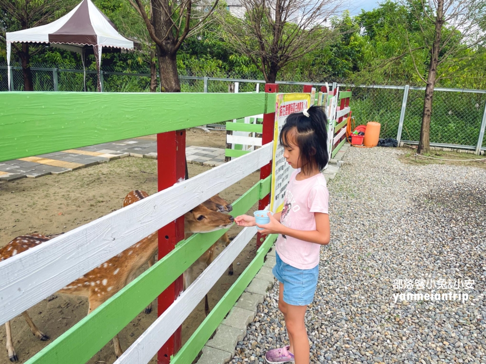 【萌寵村親子樂園】超人氣親子農場 × 無動力遊戲天堂！