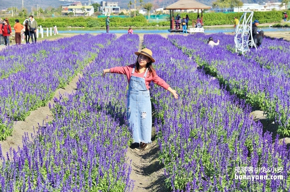 中社觀光花市