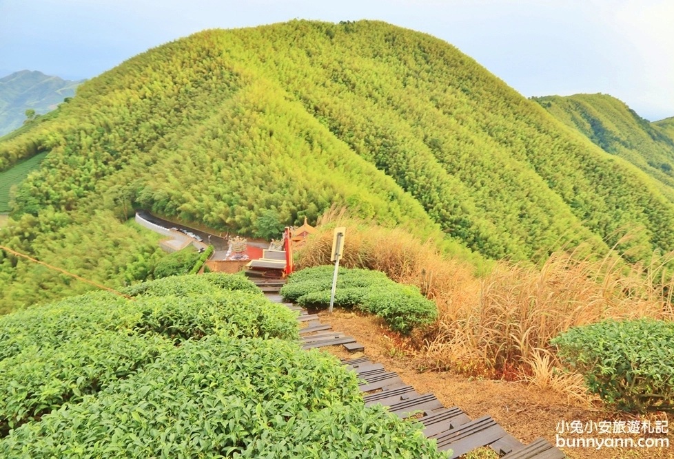 嘉義親民版抹茶山「二尖山步道」十分鐘輕鬆賞山嵐美景，茶園風光好美麗 @小兔小安*旅遊札記