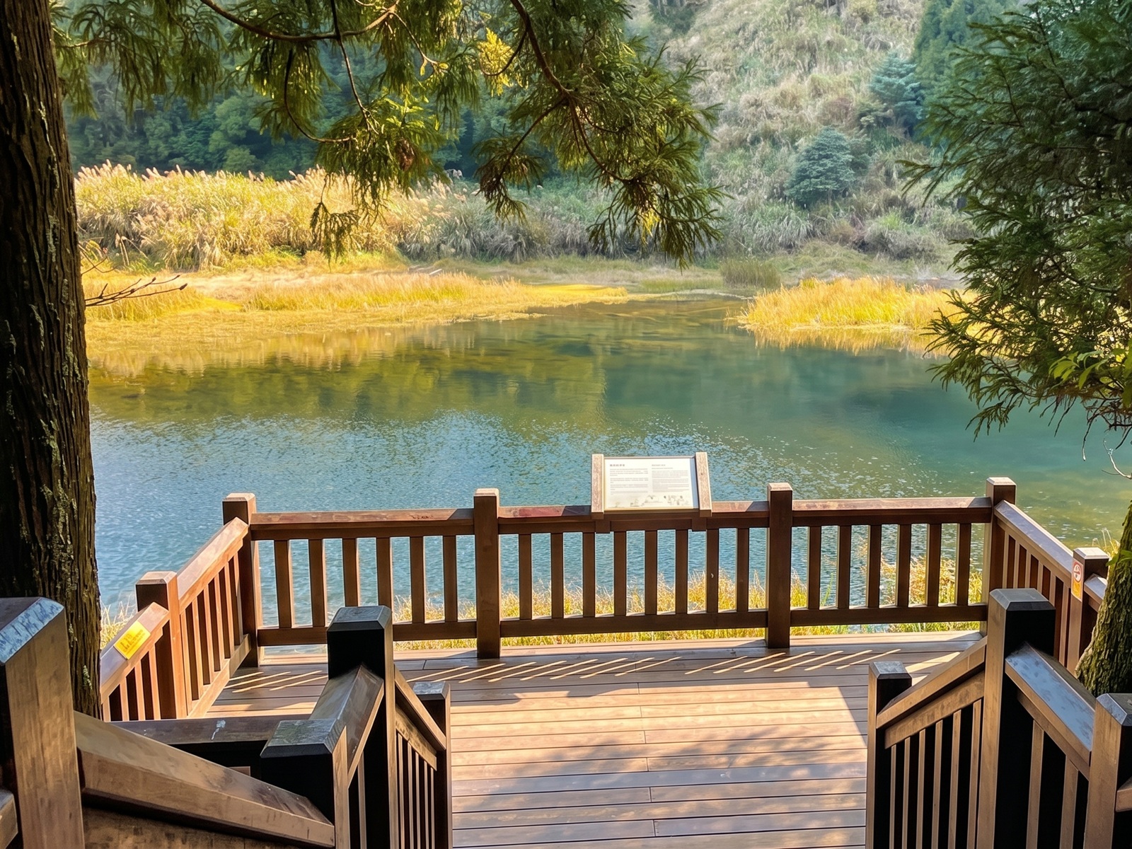 陽明山夢幻湖步道