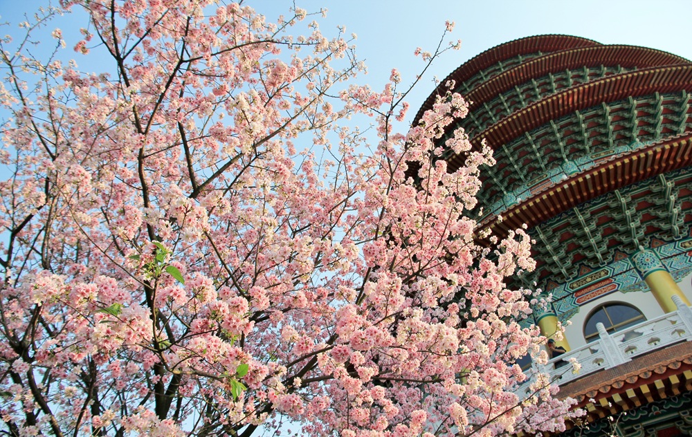 2025【淡水景點】推薦淡水一日遊行程，淡水老街這樣玩。
