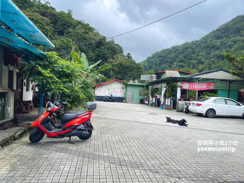 新北【烏來蝴蝶公園】輕鬆來回，穿越跨溪圓拱橋感受大自然之美