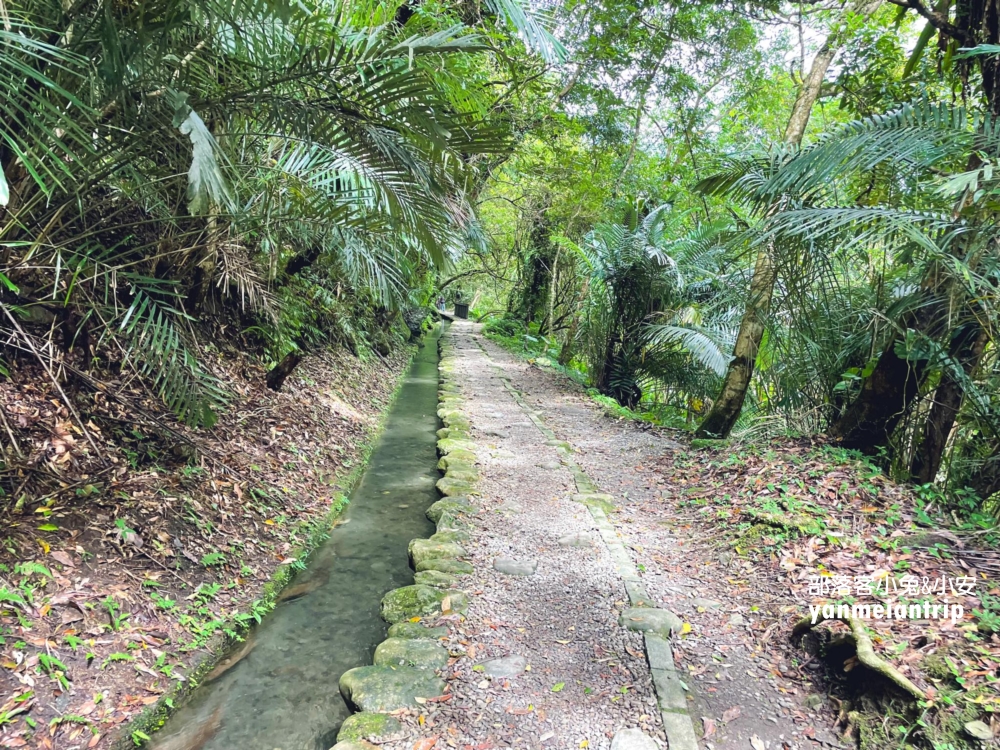 新北【烏來蝴蝶公園】輕鬆來回，穿越跨溪圓拱橋感受大自然之美