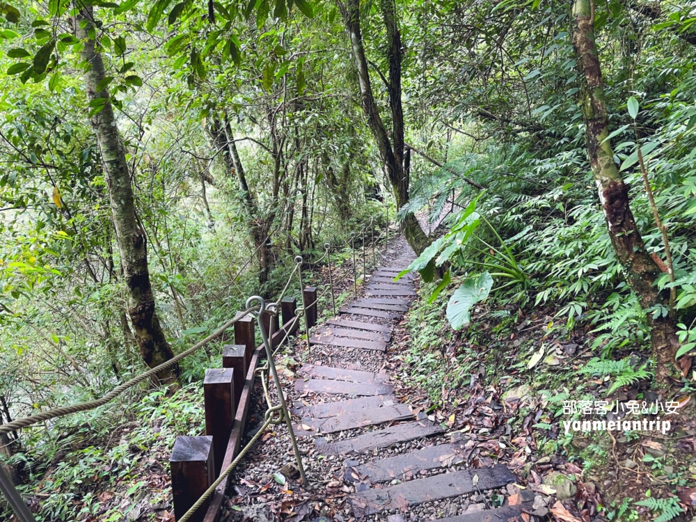 新北【烏來蝴蝶公園】輕鬆來回，穿越跨溪圓拱橋感受大自然之美