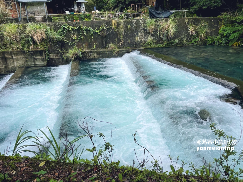 新北【烏來蝴蝶公園】輕鬆來回，穿越跨溪圓拱橋感受大自然之美
