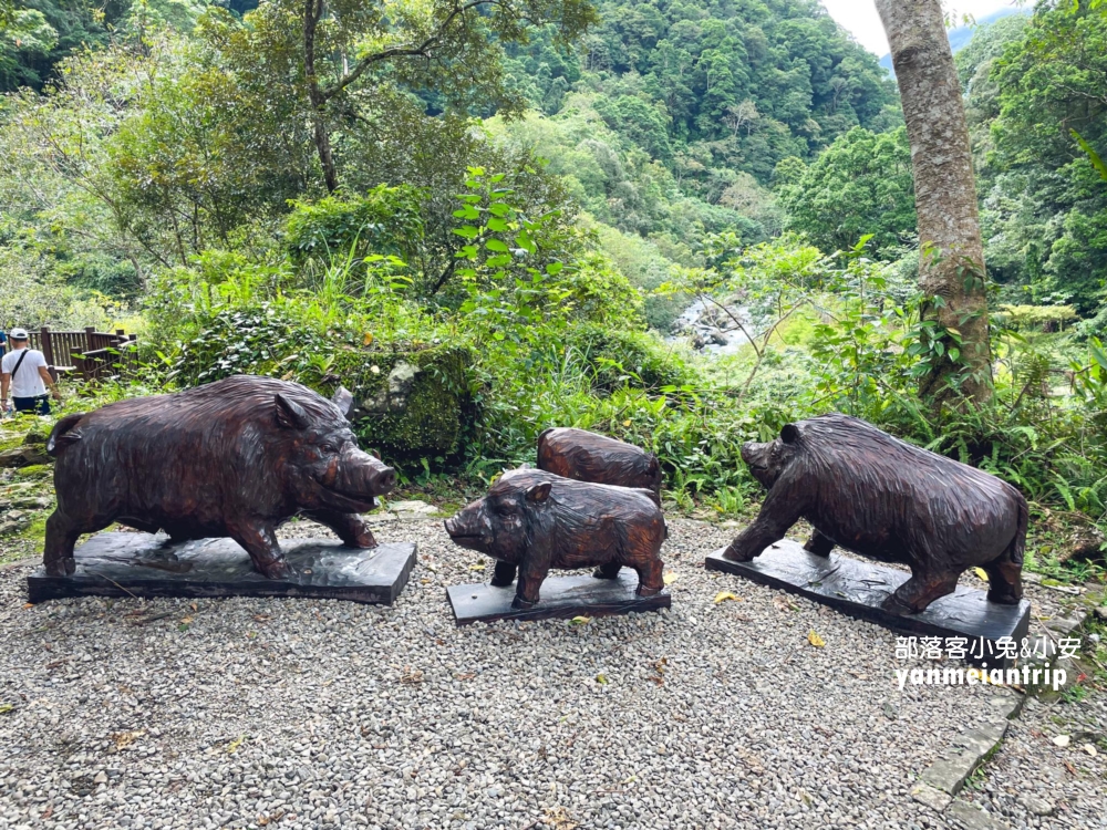 新北【烏來蝴蝶公園】輕鬆來回，穿越跨溪圓拱橋感受大自然之美