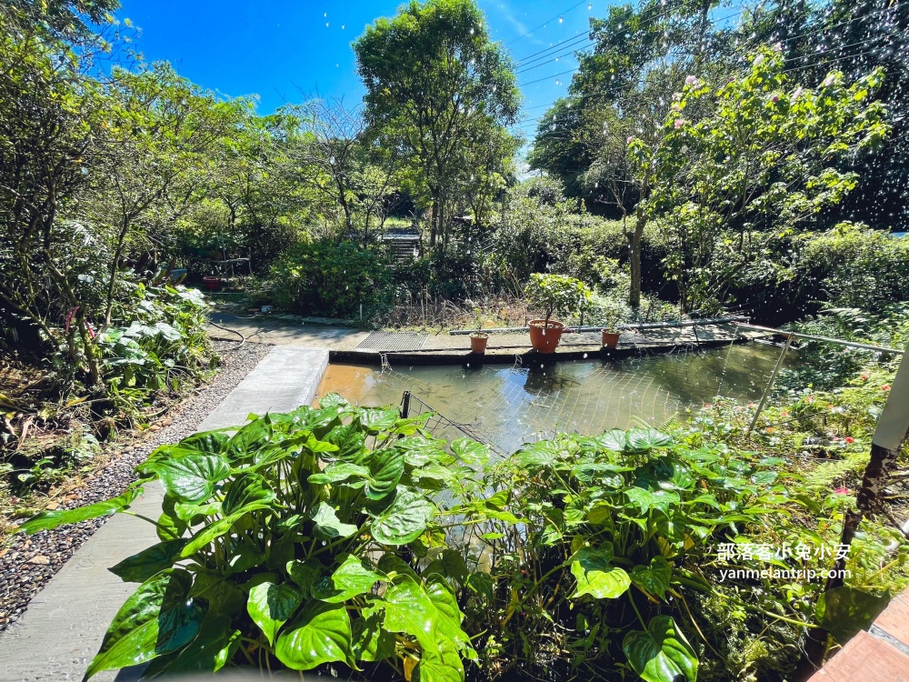 萬里【安安土雞城】沒有門牌跟地址的深山餐廳，白斬雞跟薑母鴨好好吃