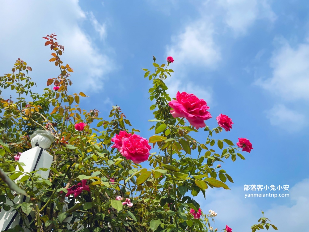 台南【雅聞湖濱療癒森林】玫瑰步道、脈輪花園、精靈小屋，還有霜淇淋可以吃