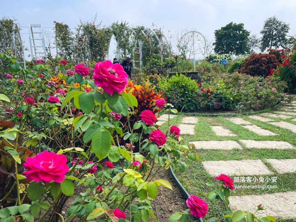 台南【雅聞湖濱療癒森林】玫瑰步道、脈輪花園、精靈小屋，還有霜淇淋可以吃