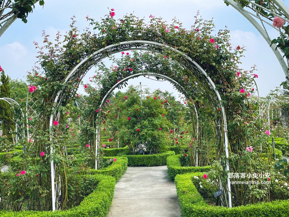 台南【雅聞湖濱療癒森林】玫瑰步道、脈輪花園、精靈小屋，還有霜淇淋可以吃