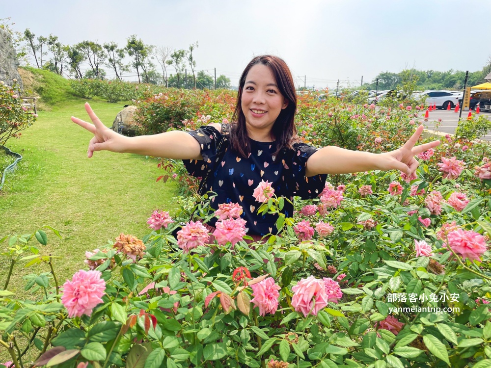 台南【雅聞湖濱療癒森林】玫瑰步道、脈輪花園、精靈小屋，還有霜淇淋可以吃