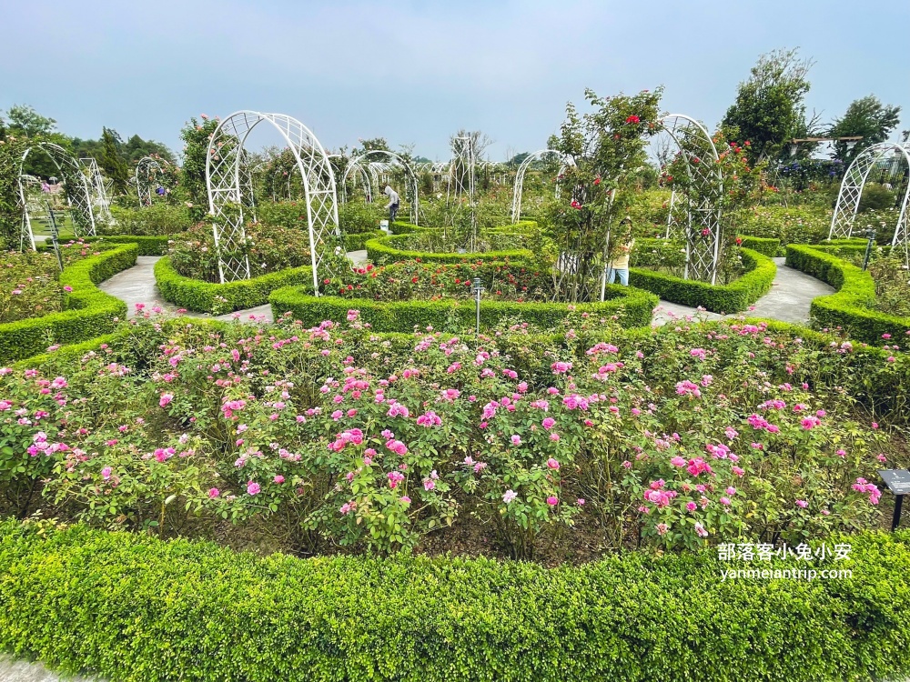 台南【雅聞湖濱療癒森林】玫瑰步道、脈輪花園、精靈小屋，還有霜淇淋可以吃