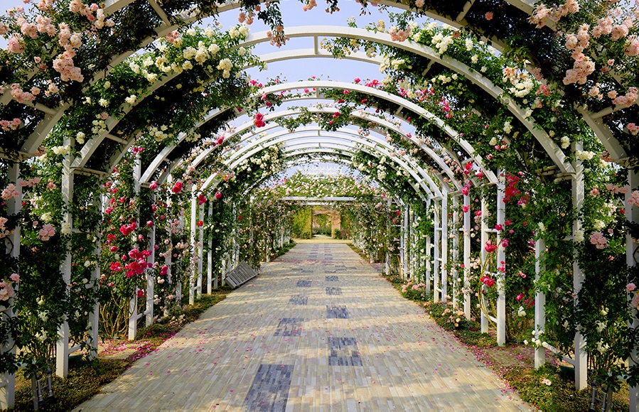 台南【雅聞湖濱療癒森林】玫瑰步道、脈輪花園、精靈小屋，還有霜淇淋可以吃
