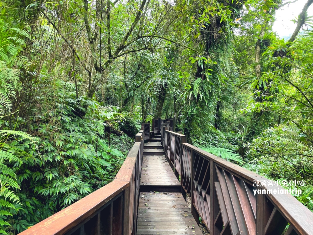 新北【烏來蝴蝶公園】輕鬆來回，穿越跨溪圓拱橋感受大自然之美