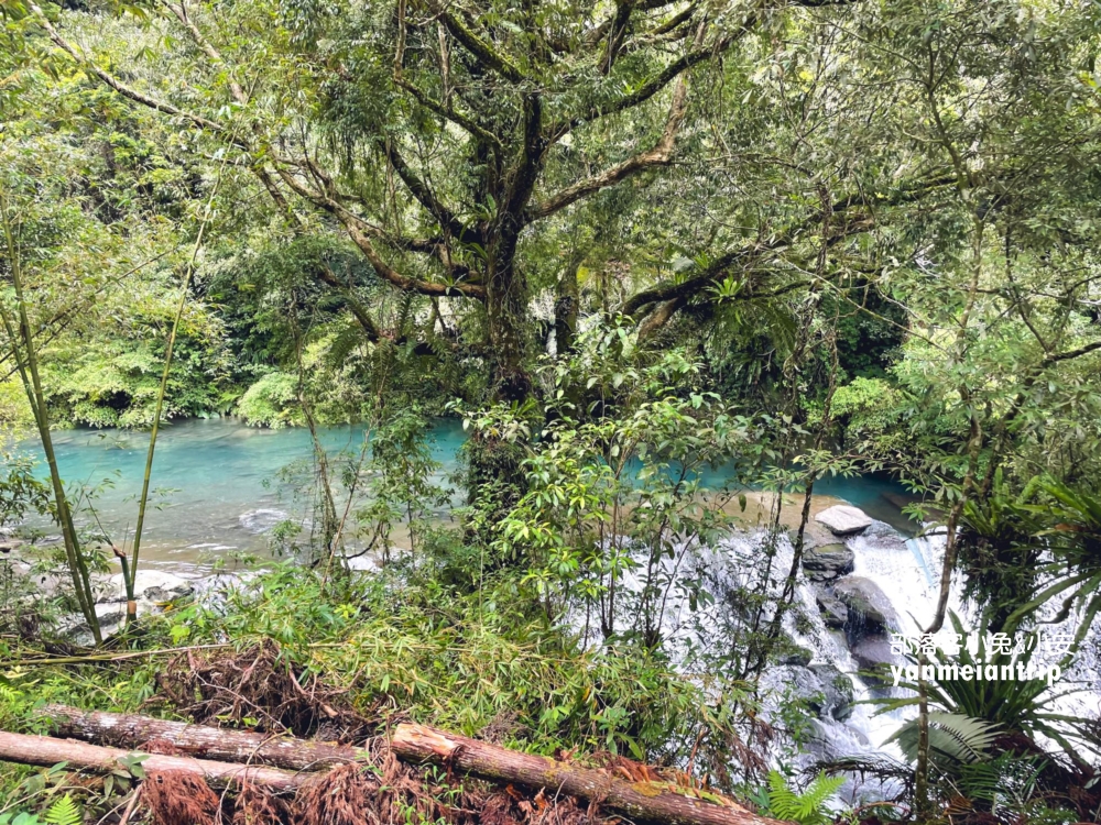 新北【烏來蝴蝶公園】輕鬆來回，穿越跨溪圓拱橋感受大自然之美