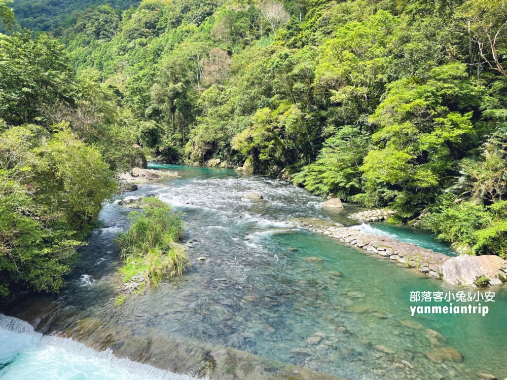 新北【烏來蝴蝶公園】輕鬆來回，穿越跨溪圓拱橋感受大自然之美