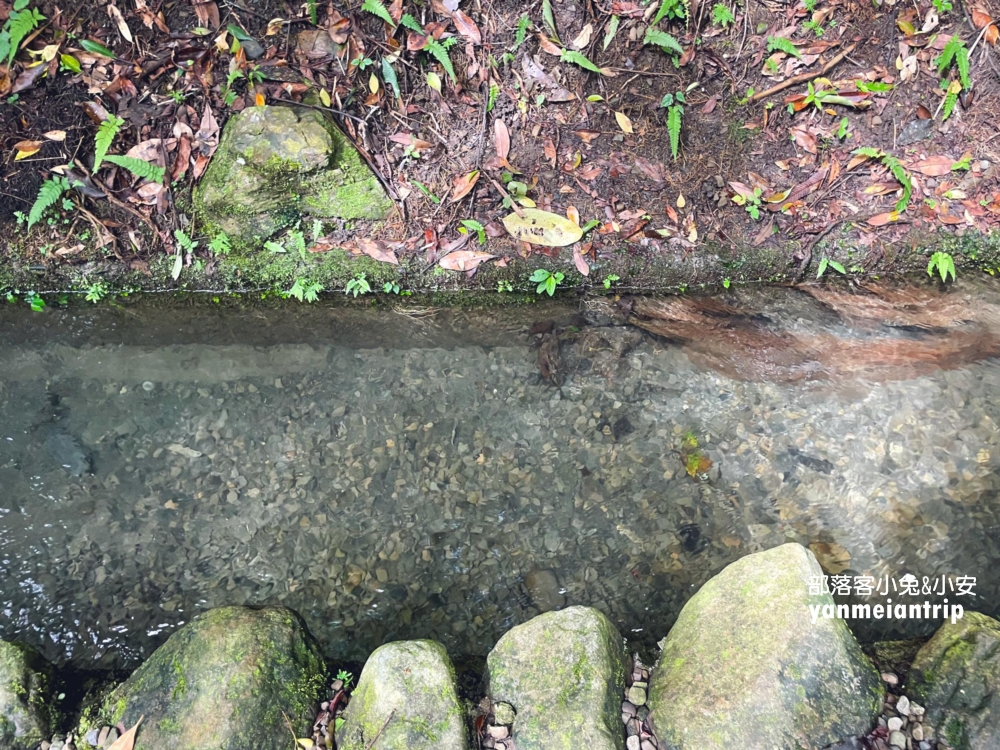 新北【烏來蝴蝶公園】輕鬆來回，穿越跨溪圓拱橋感受大自然之美