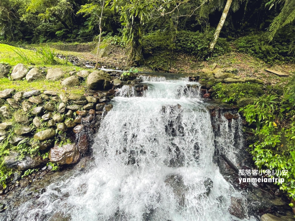 新北【烏來蝴蝶公園】輕鬆來回，穿越跨溪圓拱橋感受大自然之美