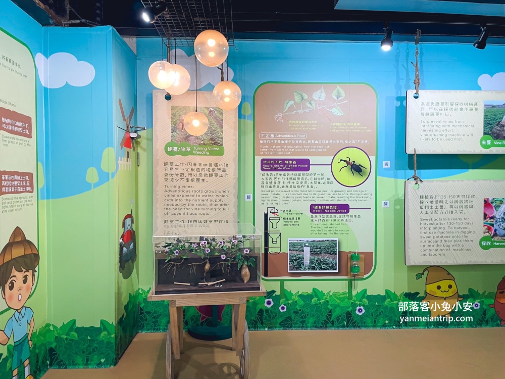 台南【瓜瓜園地瓜生態故事館】有關於地瓜的觀光工廠
