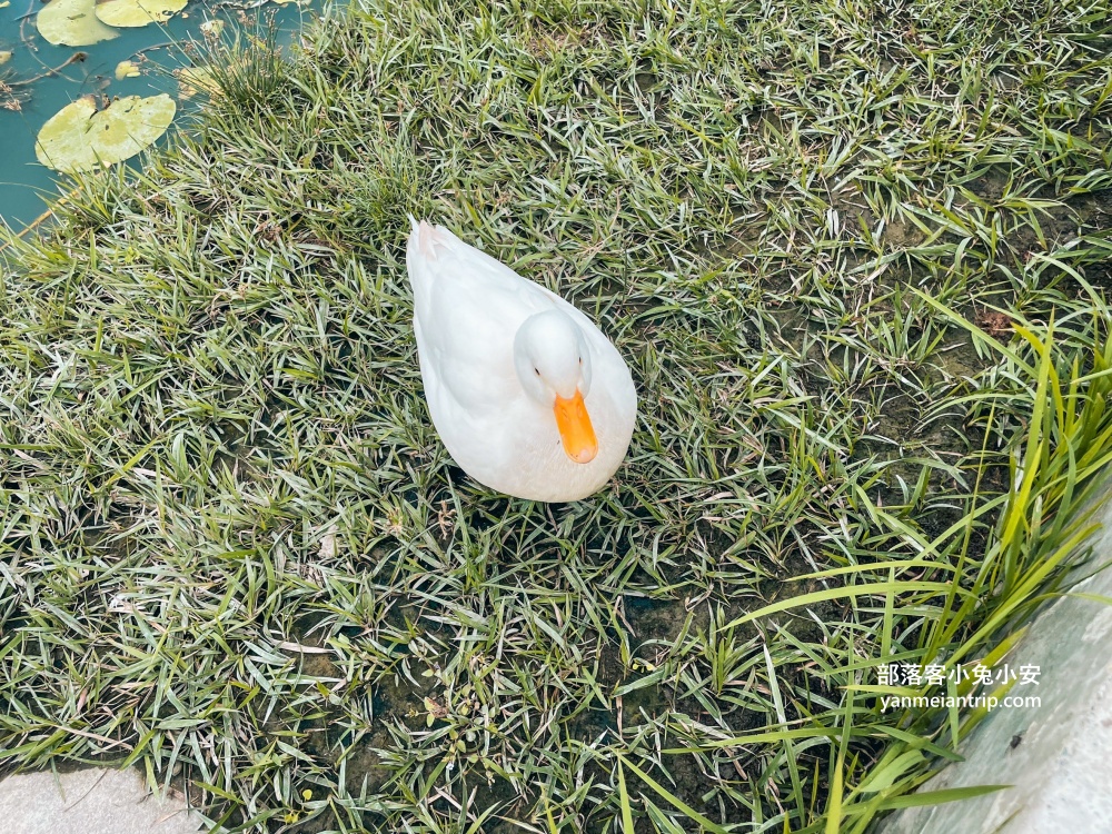 屏東「潮州鐵道園區」有關於火車的鐵道園區，一票玩到底好划算