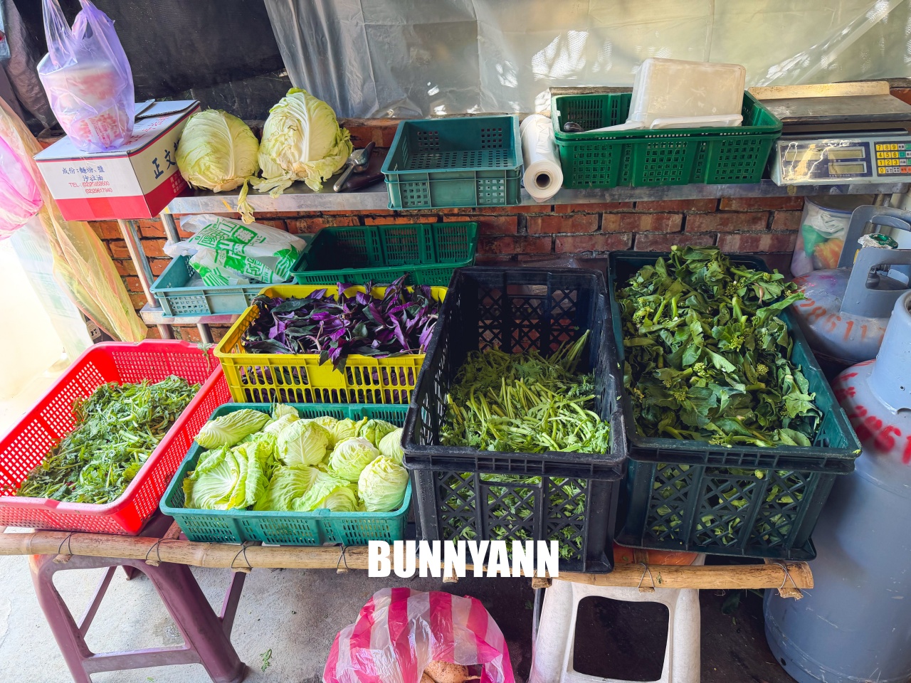 陽明山【草山風情藥膳餐廳】這家麻油雞真不錯喝，湯內有整隻雞腿