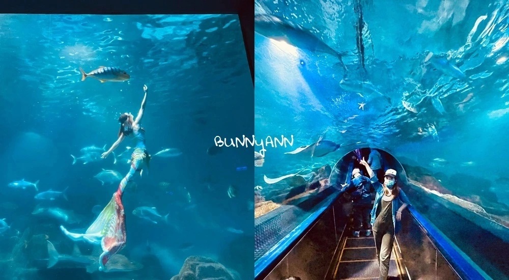 花蓮最佳親子景點，遠雄海洋公園遊樂設施必玩攻略 @小兔小安*旅遊札記