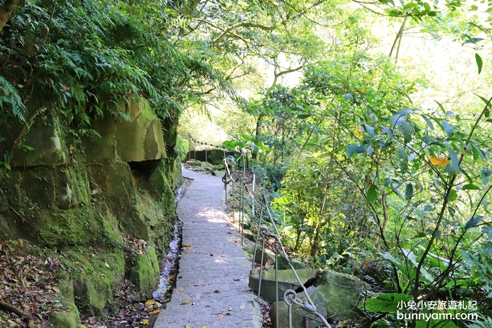 汐止【姜子寮絕壁步道】藏在深山裡的平易近人登山步道